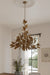 Metropolitan - N3528-736 - 11 Light Chandelier - Seraphine - Weathered Gold