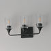 Maxim - 12883CLBK - Three Light Bath Vanity - Hudson - Black