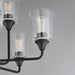 Maxim - 12879CLBK - Nine Light Chandelier - Hudson - Black
