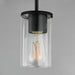 Maxim - 90281CLBK - One Light Pendant - Lateral - Black