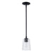 Trans Globe Imports - 71970 BK - One Light Pendant - Black