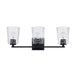Trans Globe Imports - 71973 BK - Three Light Vanity - Black