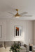 Minka Aire - F779L-HBR/ALW - 56" Ceiling Fan - Allegata - Heritage Brass
