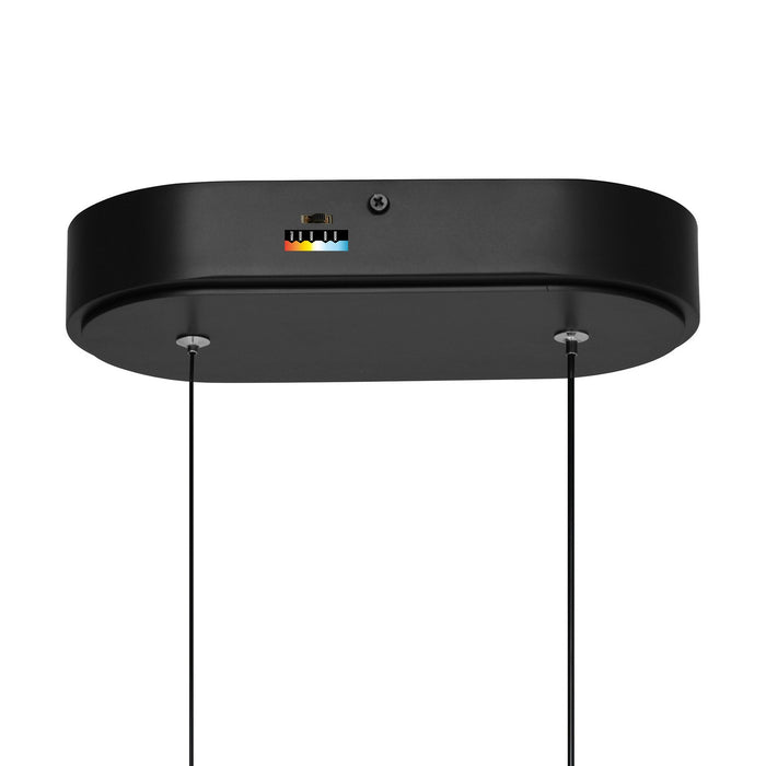 CWI Lighting - 1725P22-2-101 - LED Chandelier - Curva - Black