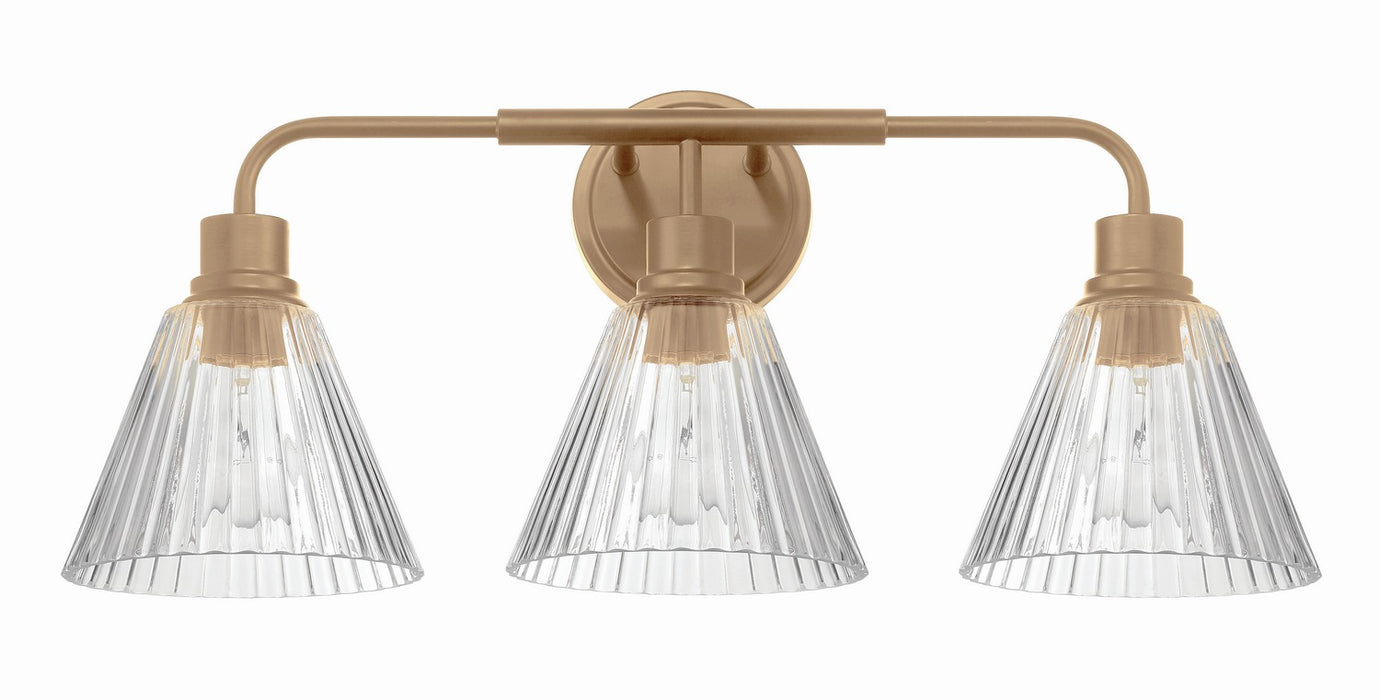 Craftmade - 61103-CPZ - Three Light Vanity - Pleated - Premium Bronze