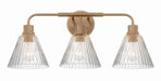 Craftmade - 61103-CPZ - Three Light Vanity - Pleated - Premium Bronze