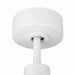 Craftmade - PHB52W3 - 52" Ceiling Fan - Phoebe 52" 3-Blade In/Outdoor Damp Fan - White