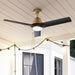 Hunter - 50044 - 52" Ceiling Fan - Aeronaut - Luxe Gold