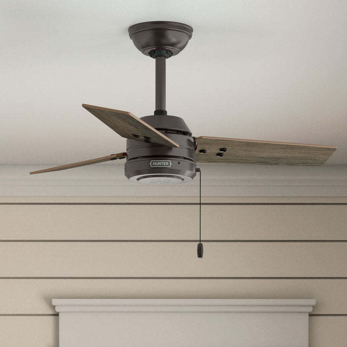Hunter - 50318 - 36" Ceiling Fan - Cassius - Noble Bronze
