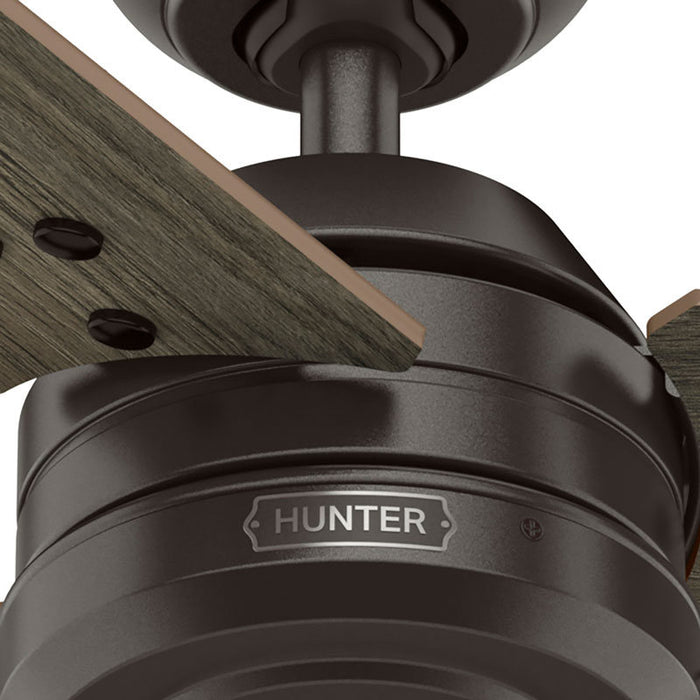 Hunter - 50318 - 36" Ceiling Fan - Cassius - Noble Bronze
