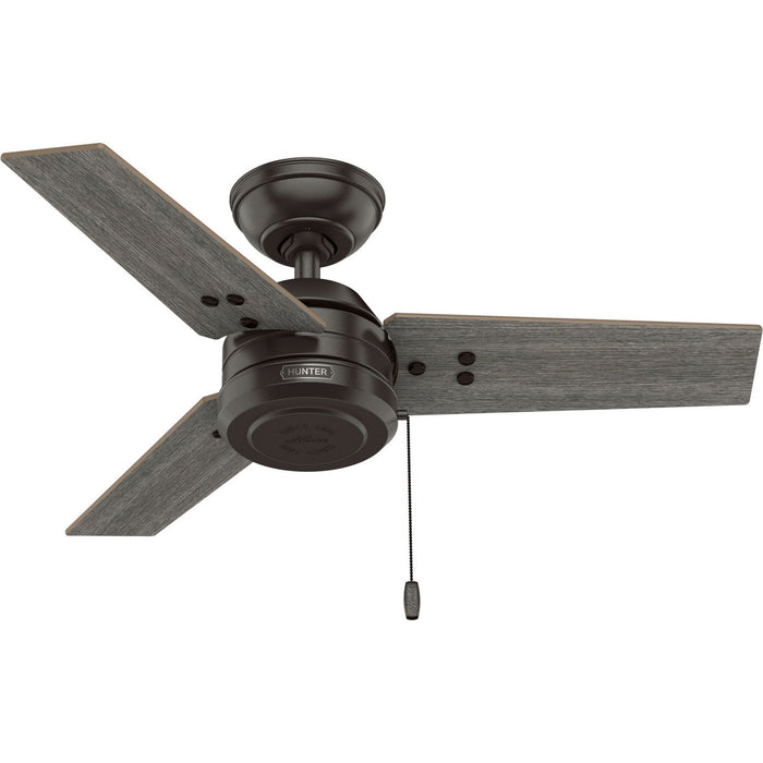 Hunter - 50318 - 36" Ceiling Fan - Cassius - Noble Bronze