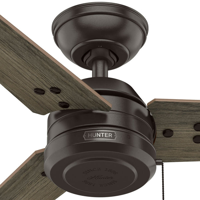 Hunter - 50318 - 36" Ceiling Fan - Cassius - Noble Bronze