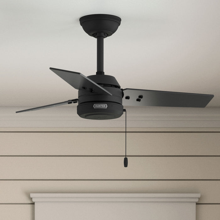 Hunter - 50320 - 36" Ceiling Fan - Cassius - Matte Black