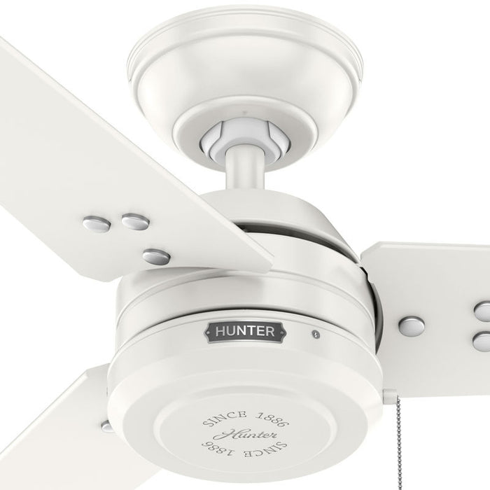 Hunter - 50321 - 36" Ceiling Fan - Cassius - Fresh White