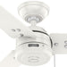 Hunter - 50321 - 36" Ceiling Fan - Cassius - Fresh White