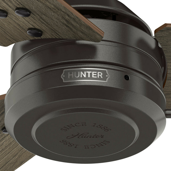 Hunter - 50446 - 44" Ceiling Fan - Cassius - Noble Bronze