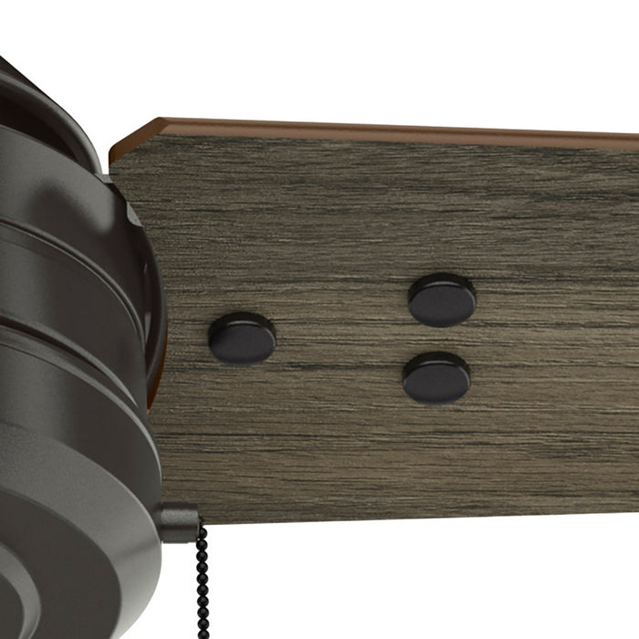 Hunter - 50446 - 44" Ceiling Fan - Cassius - Noble Bronze