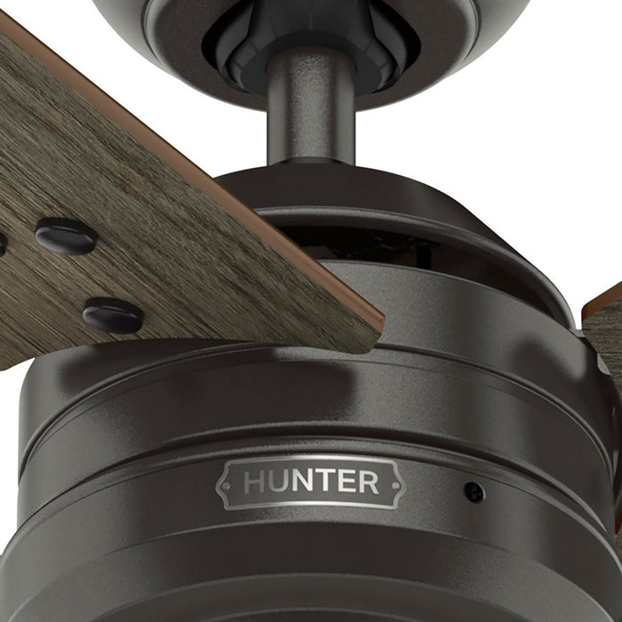 Hunter - 50446 - 44" Ceiling Fan - Cassius - Noble Bronze