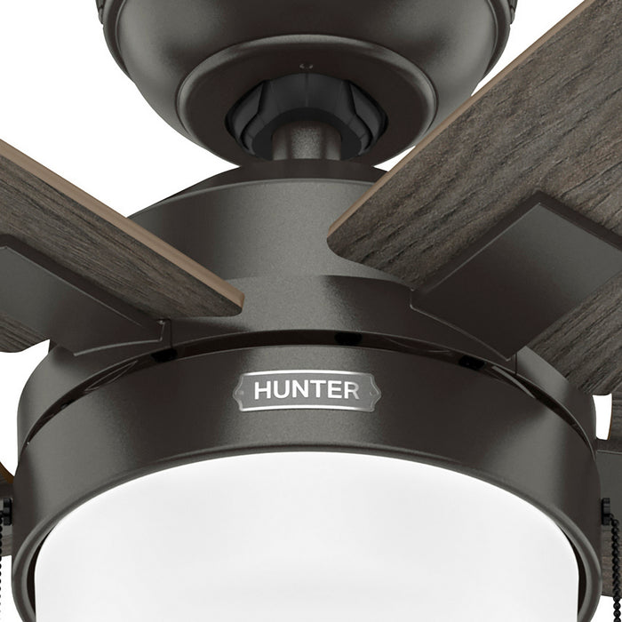 Hunter - 52490 - 44" Ceiling Fan - Anisten - Noble Bronze