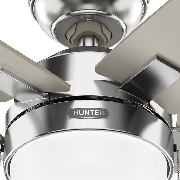 Hunter - 52495 - 44" Ceiling Fan - Anisten - Brushed Nickel