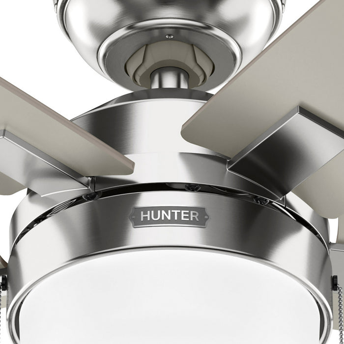 Hunter - 52505 - 52" Ceiling Fan - Anisten - Brushed Nickel