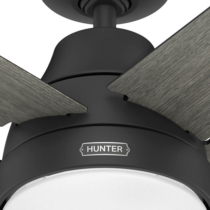 Hunter - 53780 - 60" Ceiling Fan - Aerodyne - Matte Black