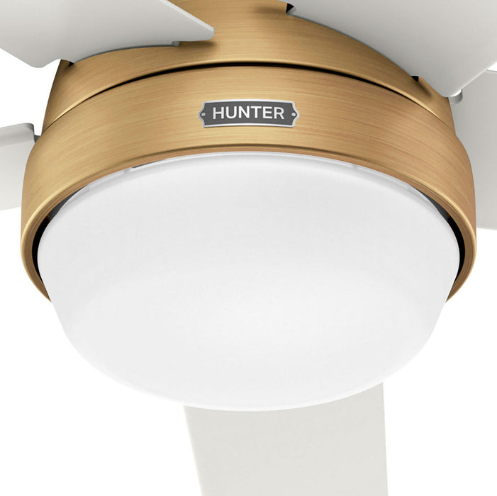 Hunter - 53783 - 60" Ceiling Fan - Aerodyne - Luxe Gold