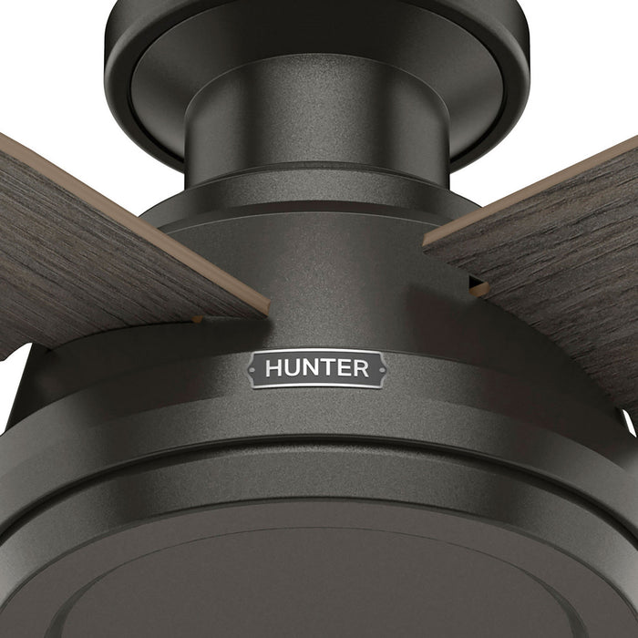 Hunter - 59336 - 44" Ceiling Fan - Dempsey - Noble Bronze