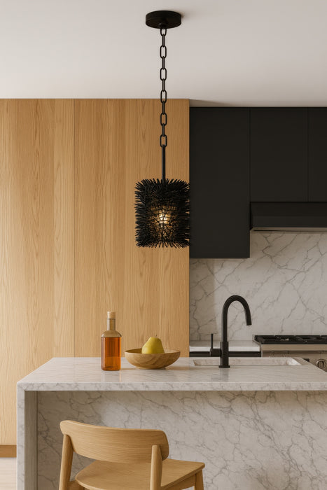 Varaluz - 569M01BL - One Light Pendant - Urchin - Black