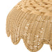 Hinkley - 22994LCB-LL - LED Chandelier - Paloma - Lacquered Brass