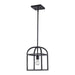 Trans Globe Imports - 11811 BK - One Light Pendant - Sabriel - Black