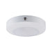 Trans Globe Imports - EM-LED-30099 WH - LED Disk Light - Palomino - White