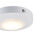 Trans Globe Imports - EM-LED-30099 WH - LED Disk Light - Palomino - White