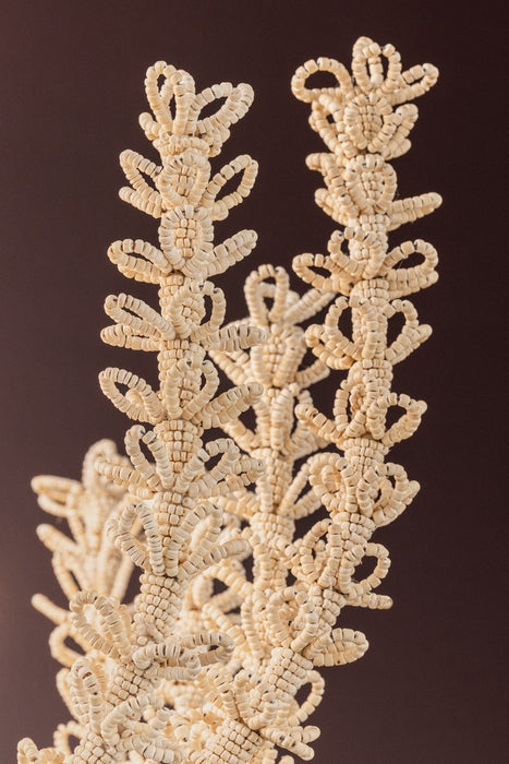 Corbett Lighting - 575-44-CP - Eight Light Chandelier - Pedrillo - Cream Plaster