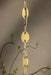 Mitzi - H1146701S-AGB - One Light Pendant - Nell - Aged Brass