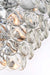 Elegant Lighting - 1010G36C-01CR - 29 Light Chandelier - Charlotte - Chrome