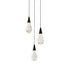 Elegant Lighting - 1013D12BK-02CR - LED Pendant - Amora - Black