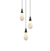 Elegant Lighting - 1013D12BK-22ST - LED Pendant - Amora - Black