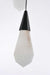 Elegant Lighting - 1013D36BK-22ST - LED Pendant - Amora - Black