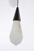 Elegant Lighting - 1013D42BK-22ST - LED Pendant - Amora - Black