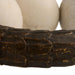 Arteriors - ASI22 - Sculpture - Sonora - White/Bronze