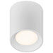 Access - 29291LEDDCS-WH/ACR - LED Flush Mount - Bongo - White