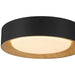 Access - 49910LEDDCS-MBL/ACR - LED Flush Mount - Maddy - Matte Black