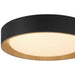 Access - 49911LEDDCS-MBL/ACR - LED Flush Mount - Maddy - Matte Black