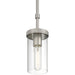 Access - 62309-BS/CLR - One Light Pendant - Lily - Brushed Steel