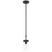 Access - 62309-MBL/CLR - One Light Pendant - Lily - Matte Black