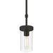 Access - 62309-MBL/CLR - One Light Pendant - Lily - Matte Black