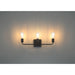 Access - 62443-MBL - Three Light Vanity - Virgin - Matte Black