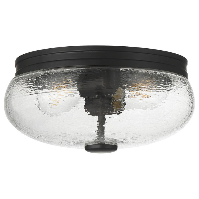 Access - 63019-MBL/CLR - Two Light Flush Mount - Lindsay - Matte Black