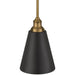 Access - 63098-ABB/BLK - One Light Pendant - Dahlia - Antique Brushed Brass